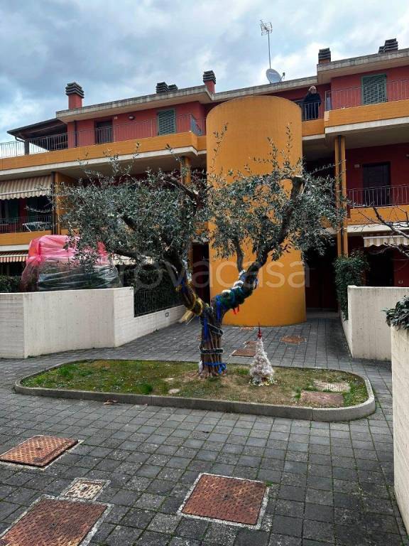 appartamento in vendita a Fano in zona Bellocchi