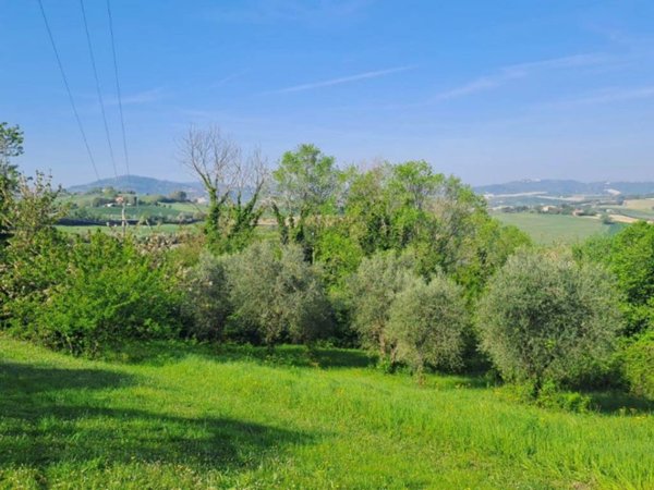 terreno agricolo in vendita a Fano in zona Carignano Terme