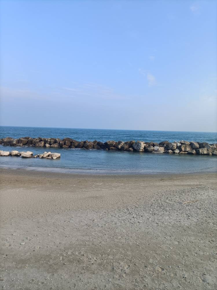 negozio in vendita a Fano
