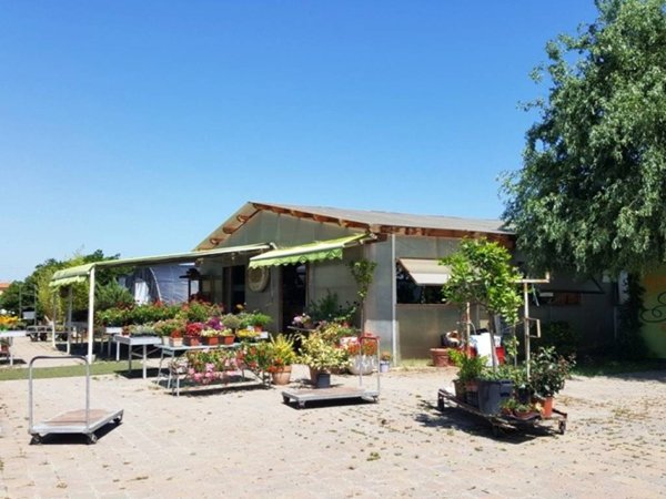 terreno agricolo in vendita a Fano