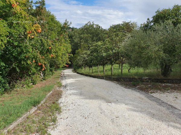 casa indipendente in vendita a Fano in zona Roncosambaccio
