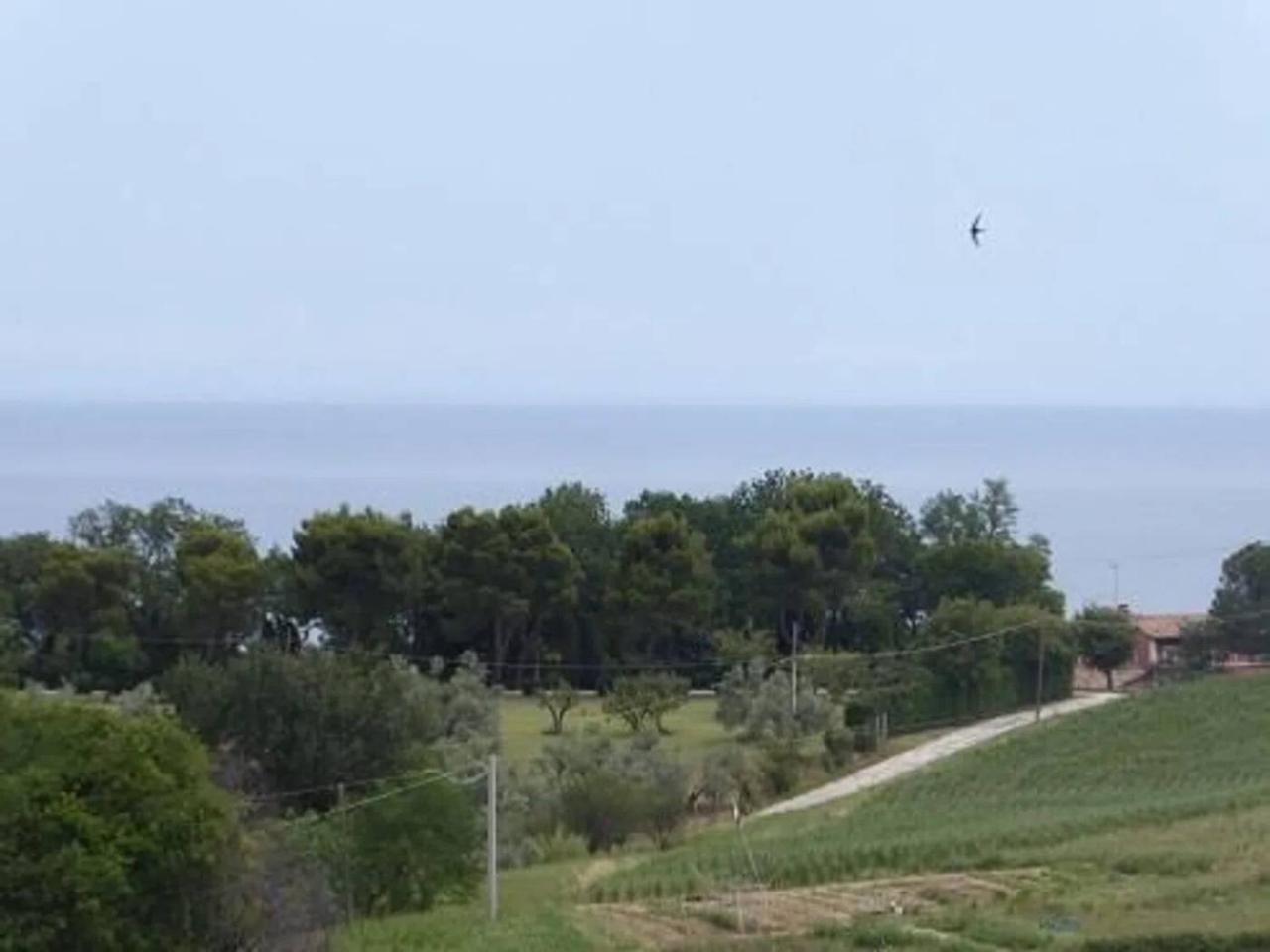 casa indipendente in vendita a Fano in zona Roncosambaccio