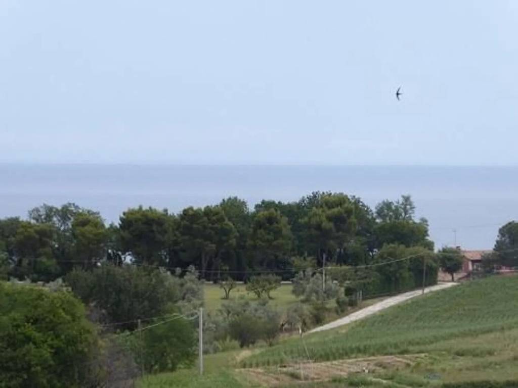 casa indipendente in vendita a Fano in zona Roncosambaccio