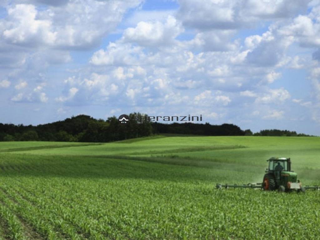 terreno agricolo in vendita a Fano in zona Carignano Terme