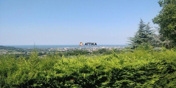 appartamento in vendita a Fano