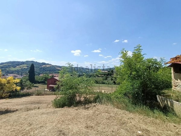 esavano in vendita a Fano in zona Fenile