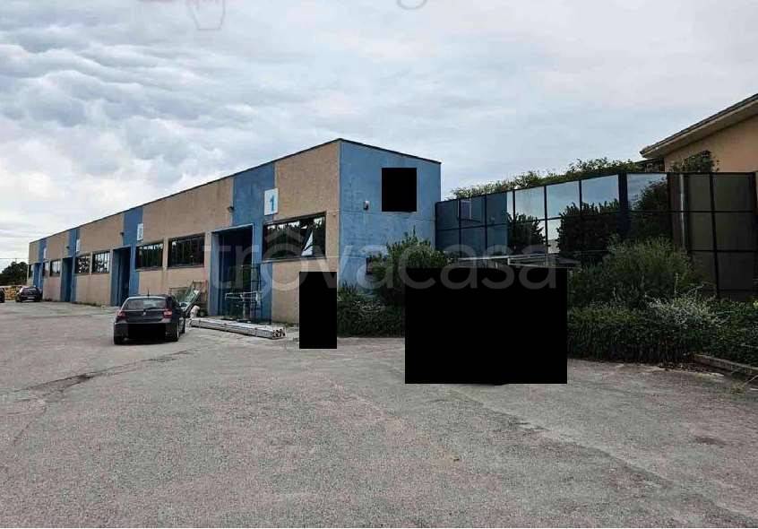 negozio in vendita a Fano in zona Tombaccia