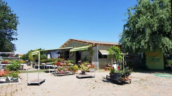 terreno agricolo in vendita a Fano