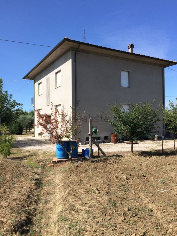 esavano in vendita a Fano