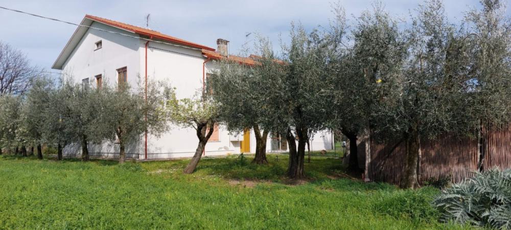 casa indipendente in vendita a Fano in zona Bellocchi