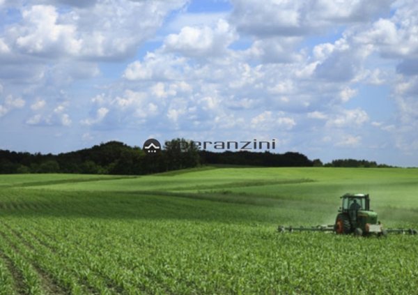 terreno agricolo in vendita a Fano