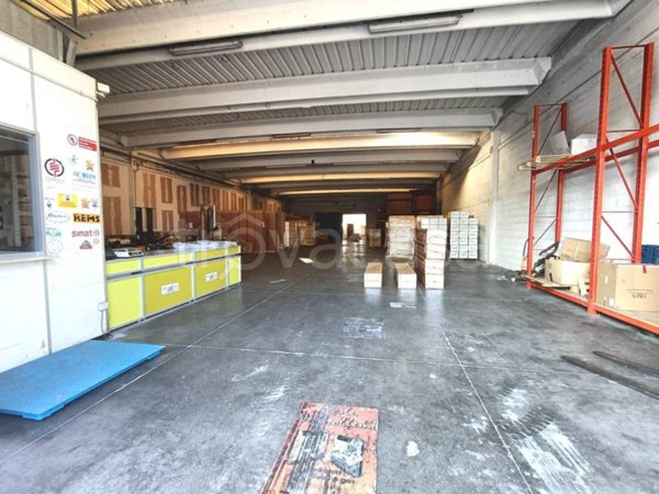capannone in vendita a Fano in zona Bellocchi