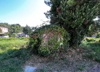 terreno agricolo in vendita a Fano