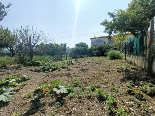 terreno agricolo in vendita a Fano in zona Torrette
