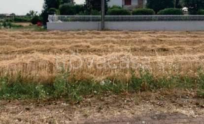 terreno agricolo in vendita a Fano in zona Tombaccia