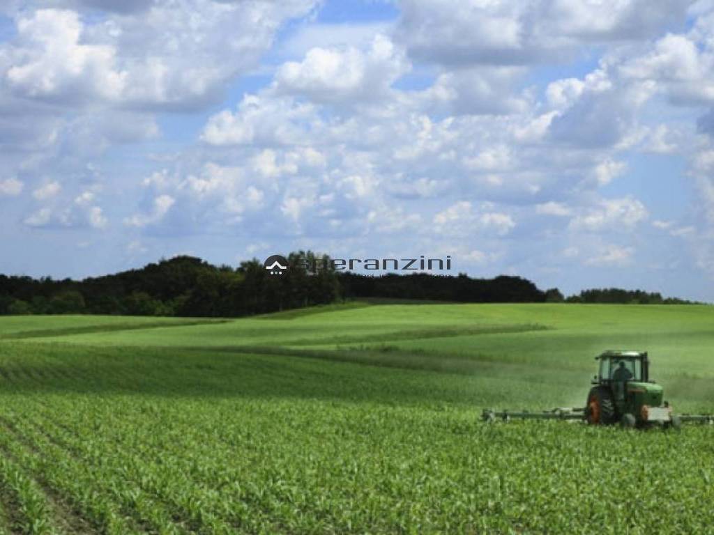 terreno agricolo in vendita a Fano in zona Roncosambaccio