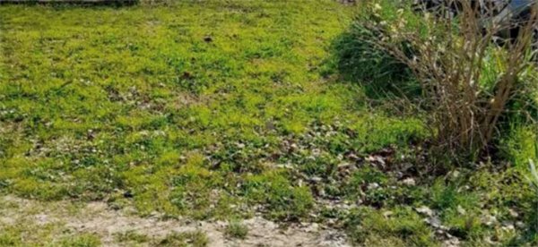 terreno edificabile in vendita a Fano in zona Cuccurano