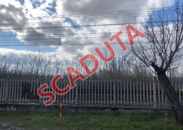 terreno agricolo in vendita a Fano in zona Torrette