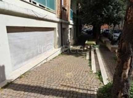 negozio in vendita a Fano
