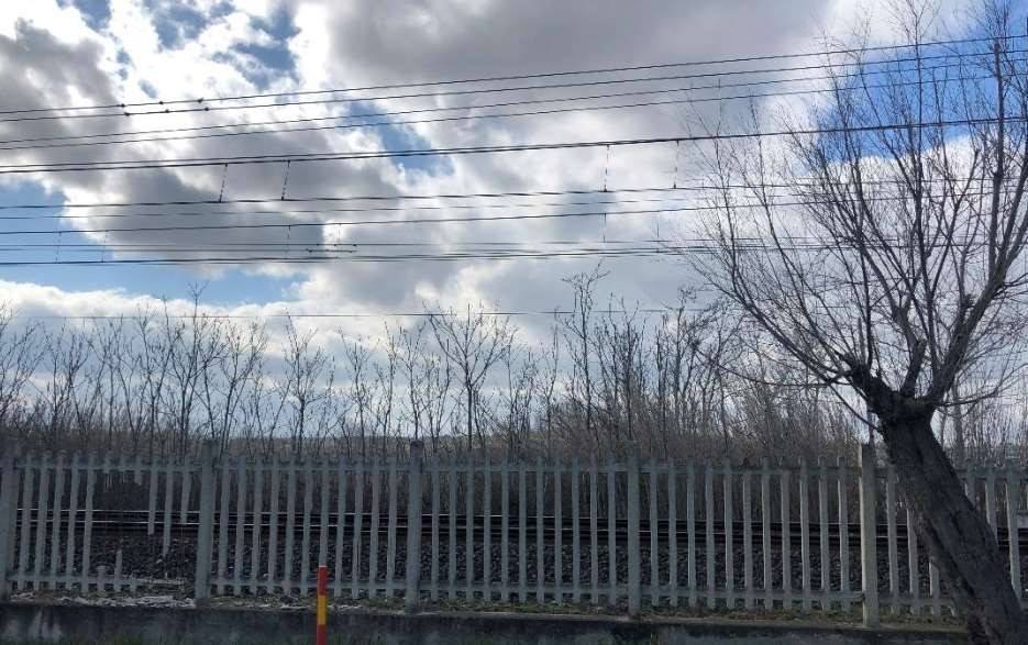 terreno agricolo in vendita a Fano in zona Torrette