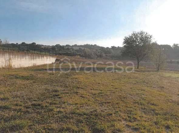 appartamento in vendita a Fano in zona Cuccurano
