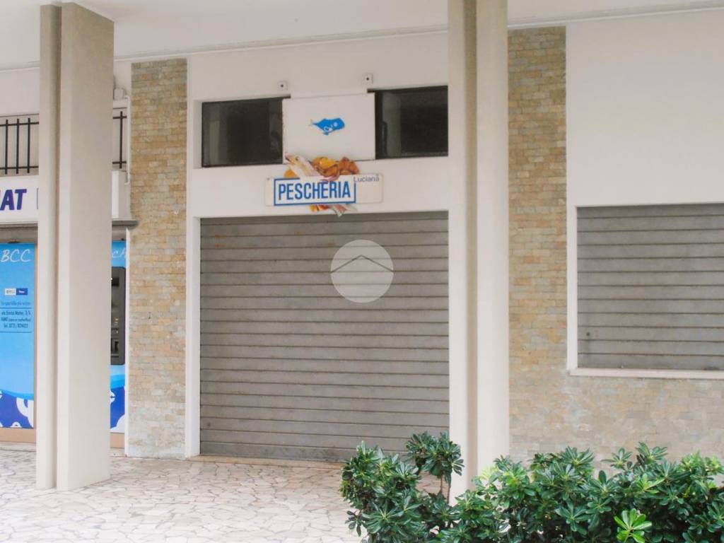 negozio in vendita a Fano in zona Torrette