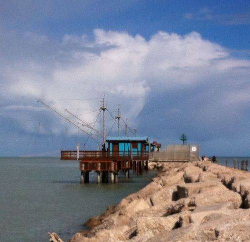 negozio in vendita a Fano