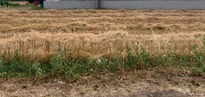 terreno edificabile in vendita a Fano in zona Tombaccia