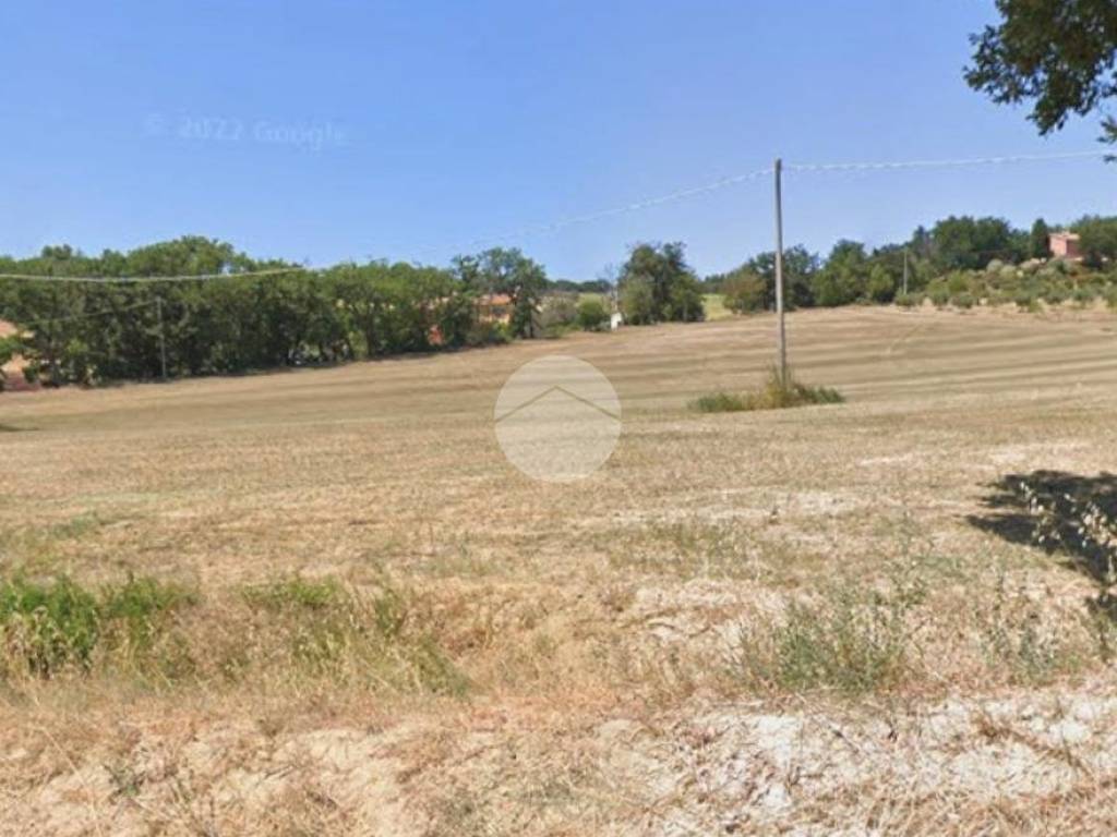 terreno agricolo in vendita a Fano in zona Fenile
