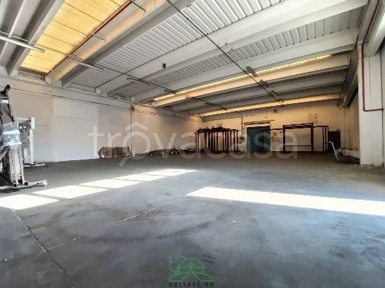 capannone in vendita a Fano in zona Bellocchi