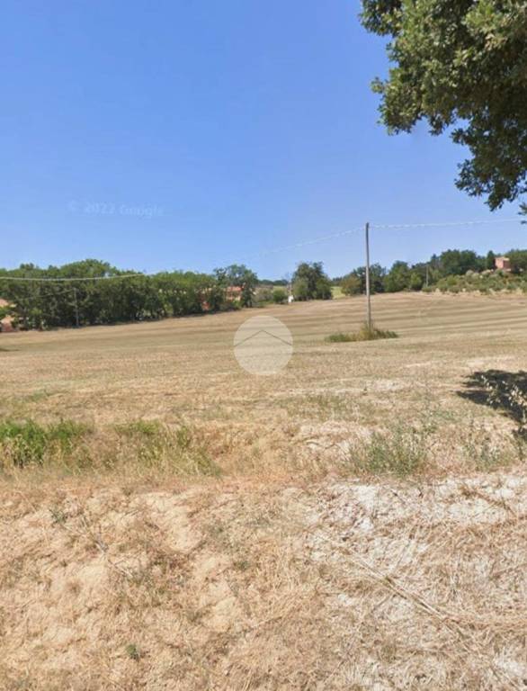 terreno agricolo in vendita a Fano in zona Fenile