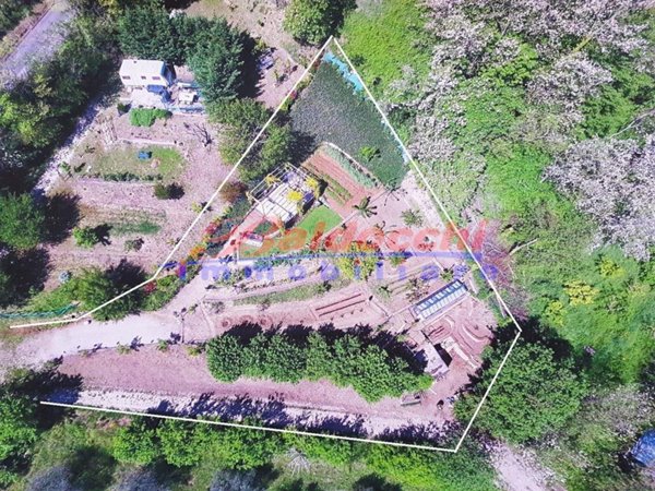 terreno agricolo in vendita a Fano