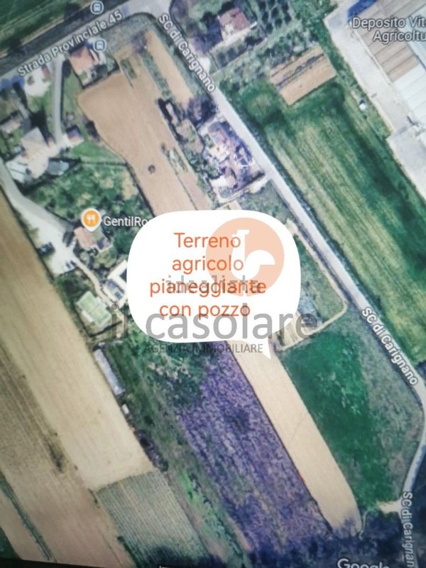 terreno agricolo in vendita a Fano