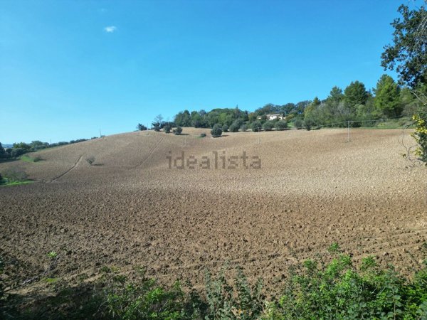 terreno agricolo in vendita a Fano in zona Carignano Terme