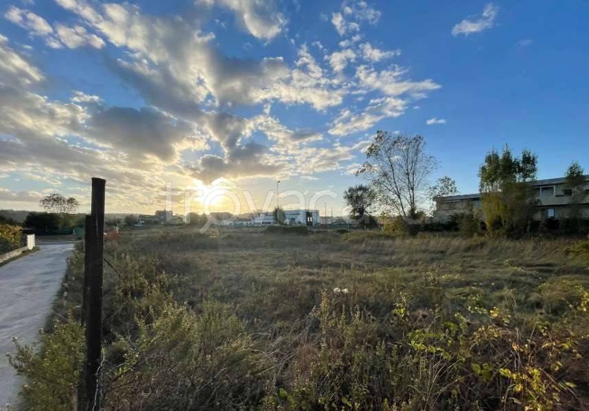 appartamento in vendita a Fano in zona Torrette