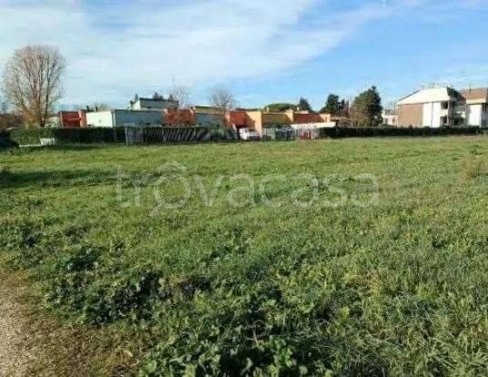 terreno agricolo in vendita a Fano