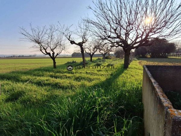 casa indipendente in vendita a Fano in zona Cuccurano