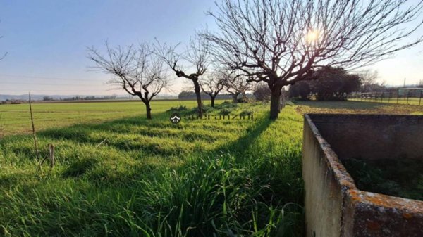 immagine annuncio 0 di 5