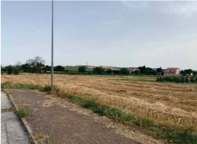 terreno agricolo in vendita a Fano in zona Tombaccia
