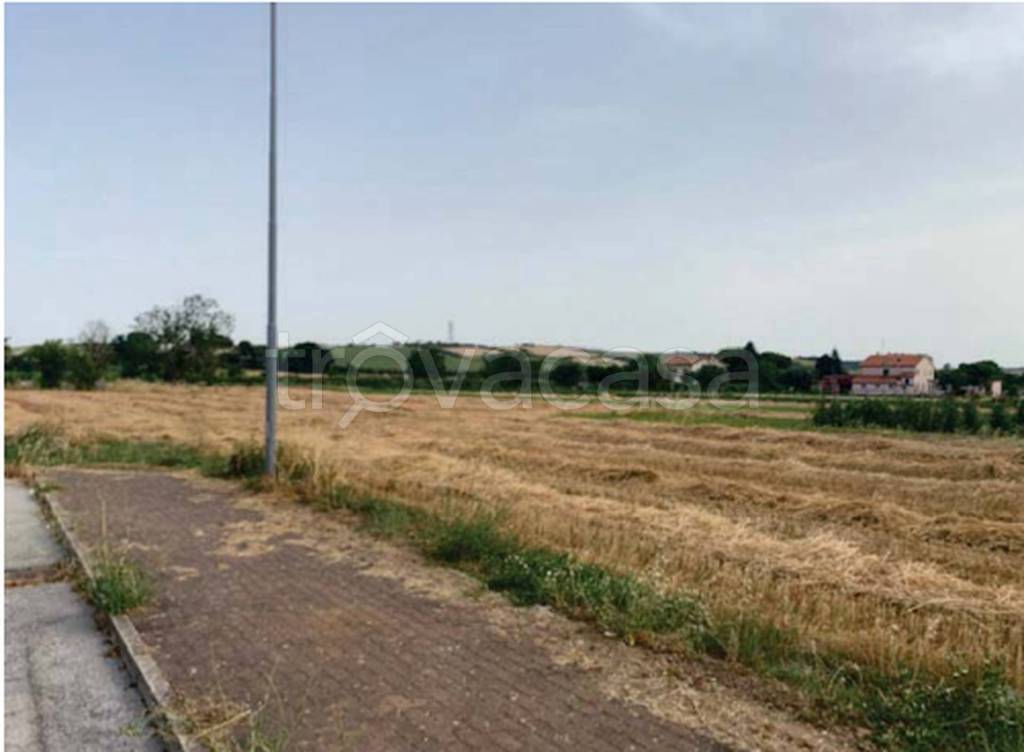 terreno agricolo in vendita a Fano in zona Tombaccia