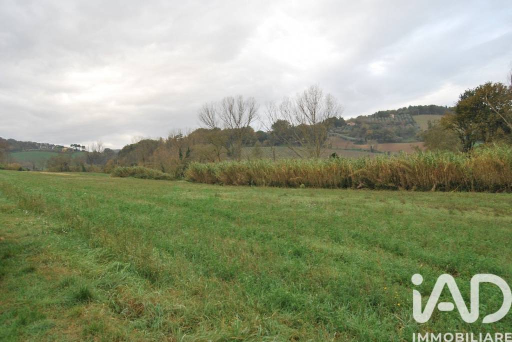 terreno agricolo in vendita a Fano