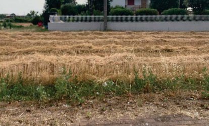 terreno edificabile in vendita a Fano in zona Tombaccia