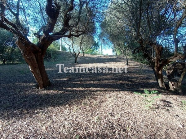 appartamento in vendita a Fano in zona Roncosambaccio