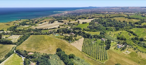 terreno agricolo in vendita a Fano