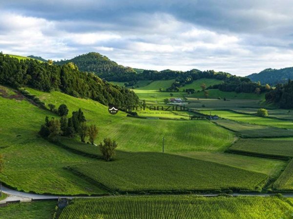 terreno agricolo in vendita a Fano in zona Cuccurano