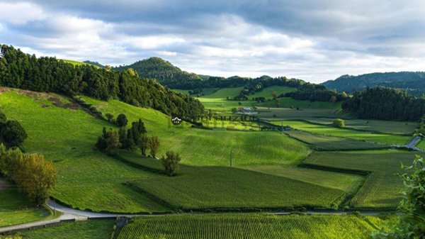terreno agricolo in vendita a Fano in zona Cuccurano