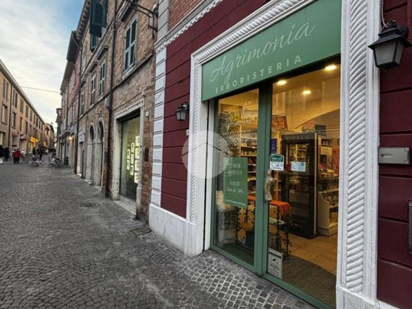negozio in vendita a Fano