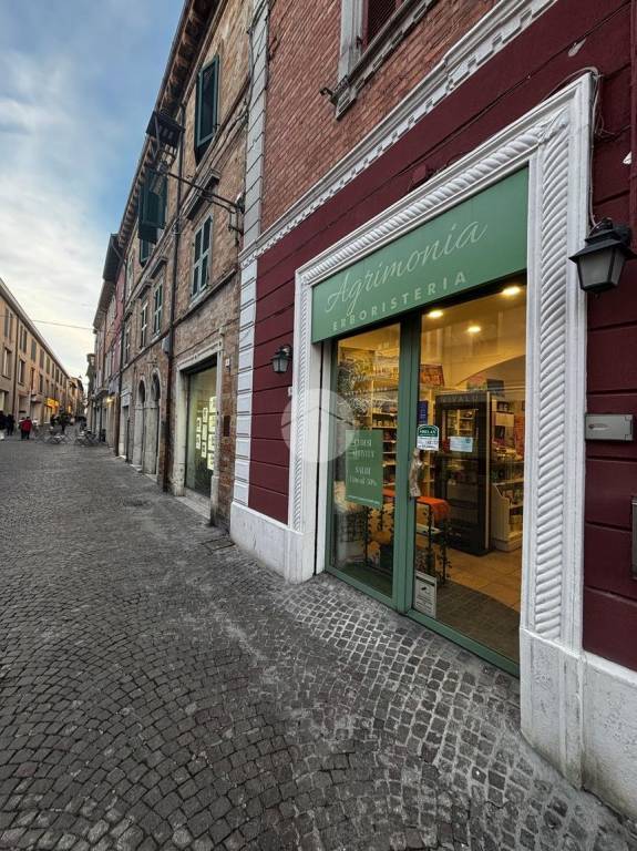negozio in vendita a Fano