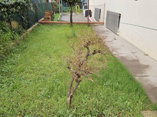 appartamento in vendita a Fano