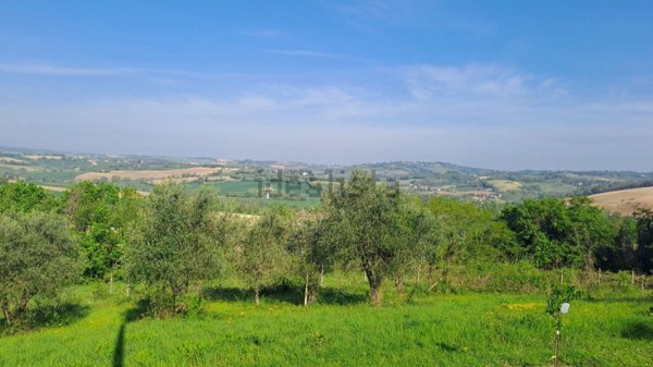 terreno agricolo in vendita a Fano in zona Carignano Terme